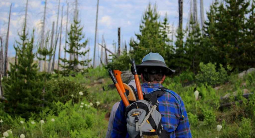 A person hikes with garden tools in their backpack through a wooded area. 
